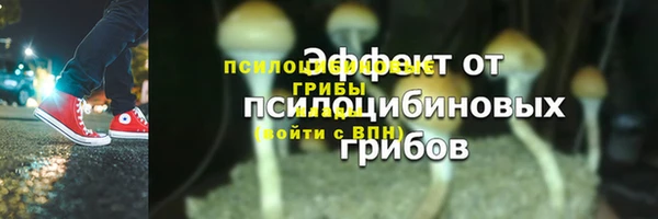 мяу мяу мука Беломорск