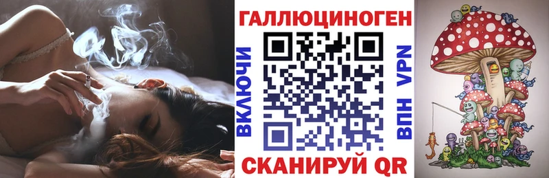 купить наркотики цена  Жуков  Псилоцибиновые грибы MAGIC MUSHROOMS 